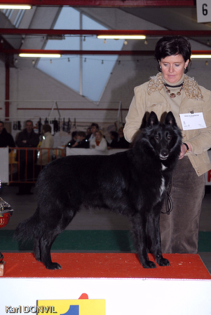 gal/Expo janvier 2007/KD1_0230.jpg